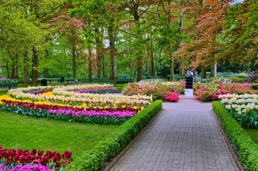 Alley among colorful tulips, Keukenhof Park, Lisse in Holland