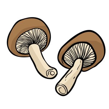two mushrooms
