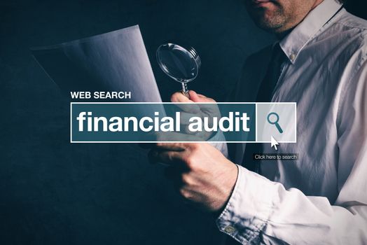 Financial audit web search bar glossary term