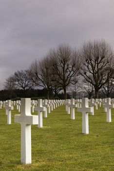 Military war cemetery Margraten