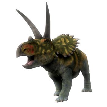 Coahuilaceratops Dinosaur on White