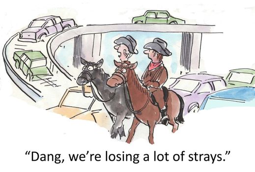 Losing strays