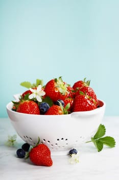 Ripe berries in colander