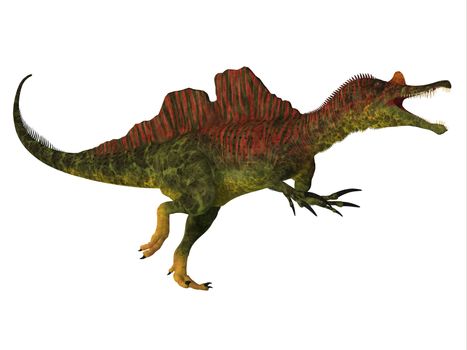 Ichthyovenator Dinosaur Body