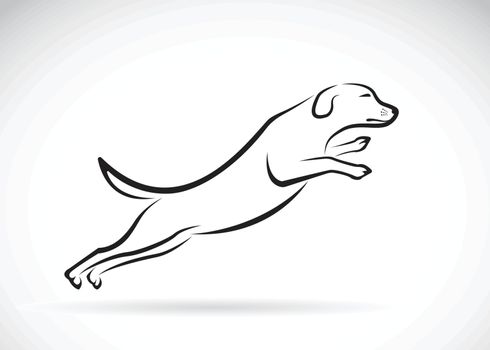 Vector image of an dog jumping on white background, Vector dog f