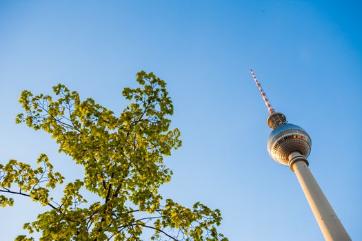 Fernsehturm (TV Tower), Berlin Alexanderplatz