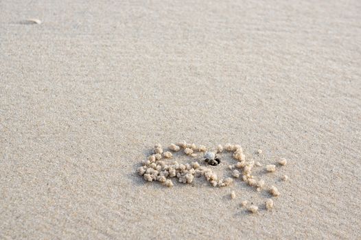 fine sand and the crab hole