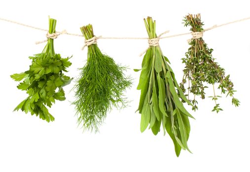 Fresh herbs hanging on a rope, isolated on white background