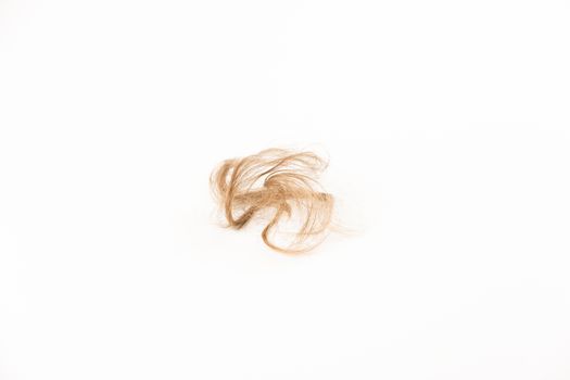Hair Loss on white background