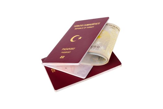 Passport and Euro Money Banknotes