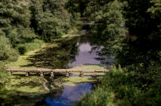 Stone bridge in pond 