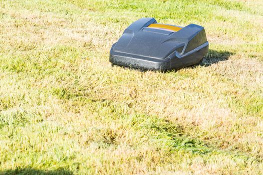 Automatic lawn mower mows the lawn