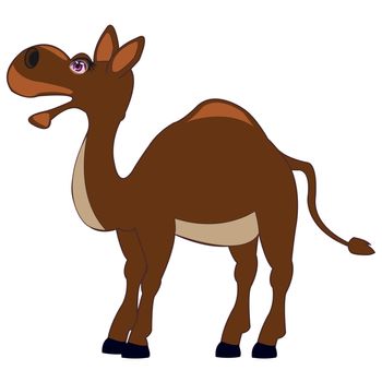 Vector illustration of the camel on white background