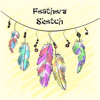 Set of beautiful colored feather. Sketch feathers. Vector
