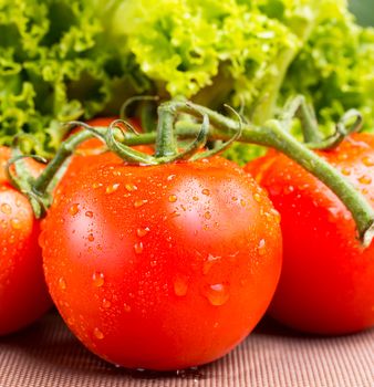 Juicy red vine tomatoes with green salad