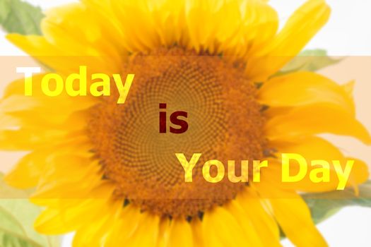 Today is your day inspirational quote