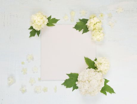 Scrapbooking page with white flowers