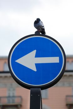 One Way Directional Traffic Sign in Italia
