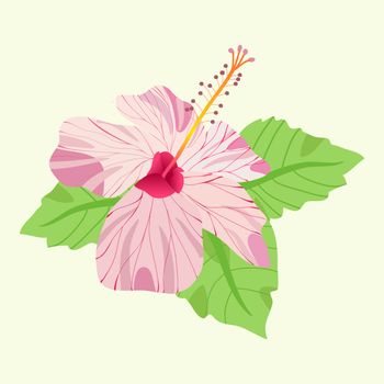 Tropical Hibiscus flower pink blossom and leaves symbol of Hawai