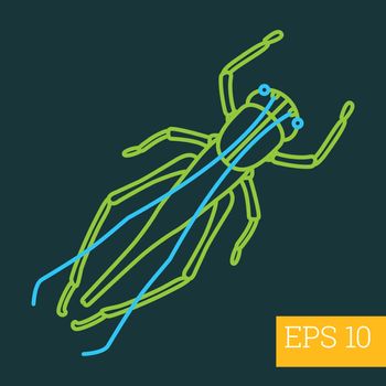 grasshopper insect outline vector