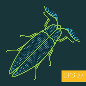 bug insect  outline vector