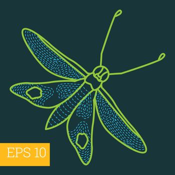 hawk-moth insect outline vector