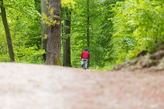 Cyclist Riding Bycicle on Forest Trail.