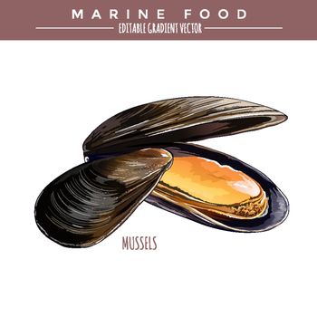 Mussels. Marine Food