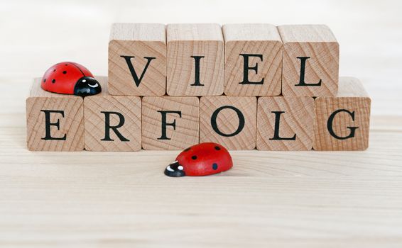 The german words for a lot of success (Viel Erfolg) and ladybugs on wood