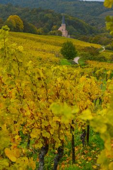 View of Andlau village and church in autumn, Alsace, France