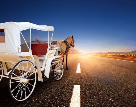 horse and classic fairy tale carriage on asphalt road perspectiv