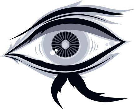 eye illustration