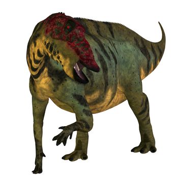 Shuangmiaosaurus was a herbivorous iguanodont dinosaur that lived in China in the Cretaceous Period.