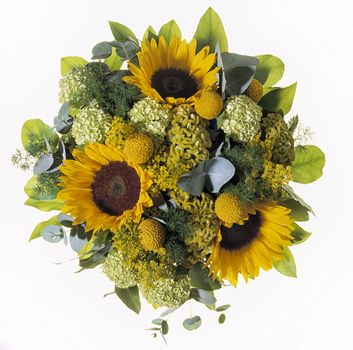Bouquet of miscellaneous field flowers on white background