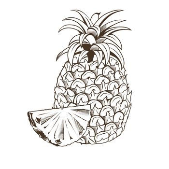 Pineapple in vintage style. Line art illustration.
