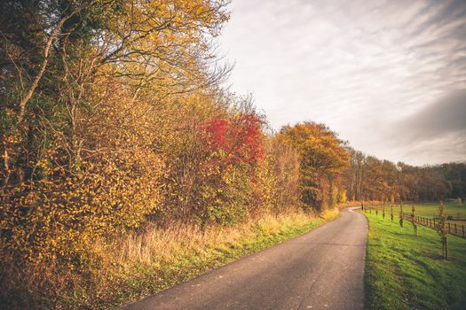 Countryside landscape in the fall with a small road surrounded by trees in autumn colors and green fields