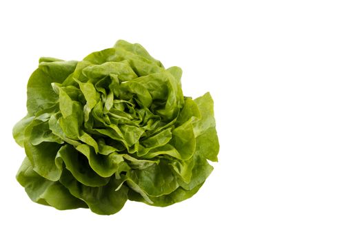 Green Salad 