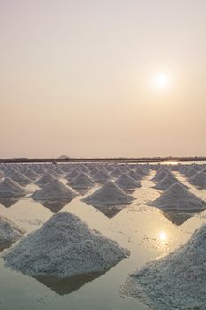 harvesting salt in salt farm petchaburi thailand