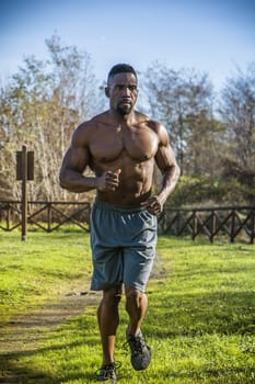 Muscular Shirtless Black Man in Park