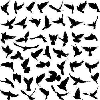 Concept of love or peace. Set silhouettes doves. Vector illustration.