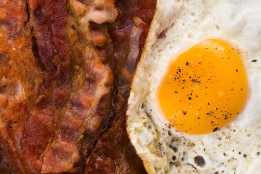 Fried Egg And Bacon Rashers