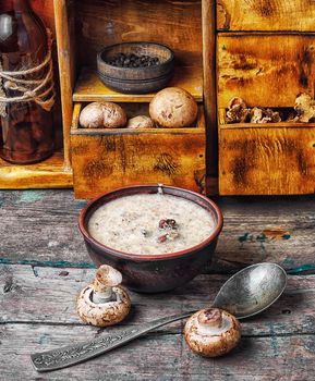 peasant soup with champignon