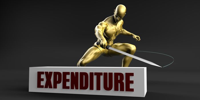 Reduce Expenditure