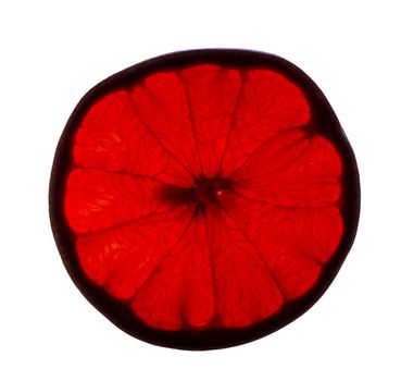 Slice of grapefruit close-up