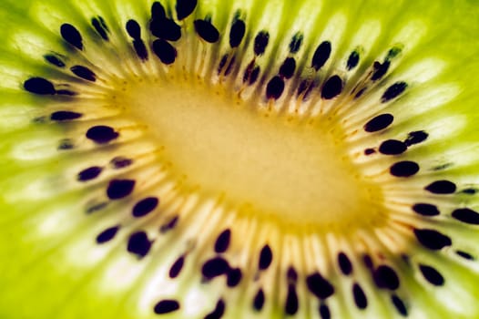 Slice of kiwi close-up