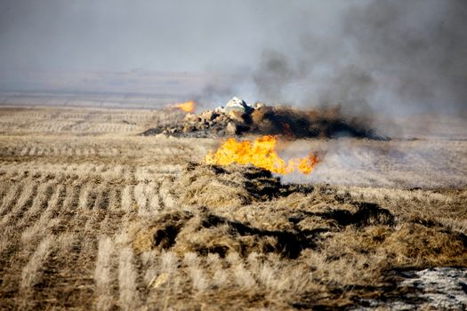 Prairie Stubble Burn