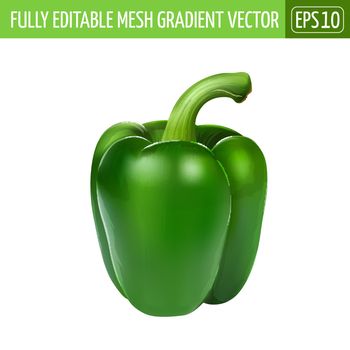 Green pepper on white background. Vector illustration