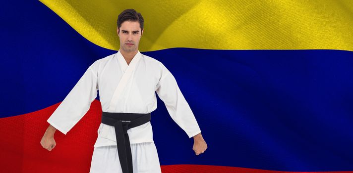 Male karate player posing on white background against digitally generated colombia national flag