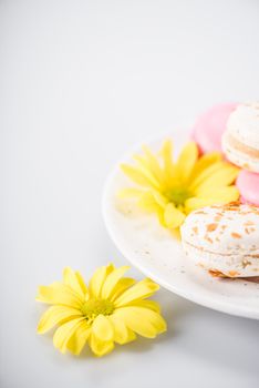 Macarons and yellow flowers