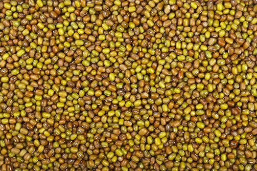 Green mung beans close up background